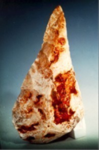 Picture 1i
