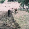 Ιστορικό αρχείο