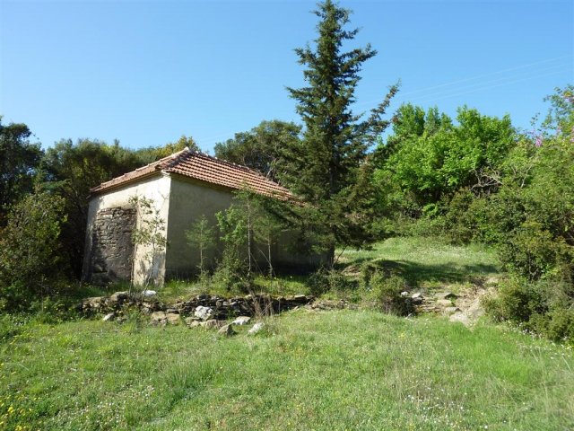 Αϊ Γώργης 2013