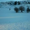 Το λιβάδι