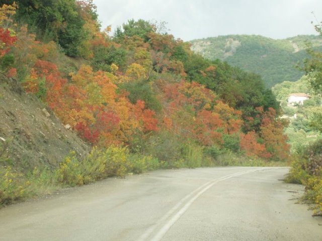 Ομορφιές