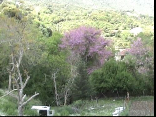Ομορφιές