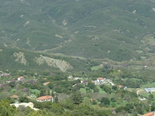 Το πάνω Ζωτικό
