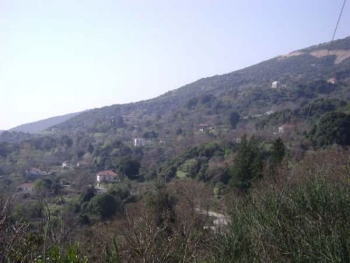 Το πάνω Ζωτικό