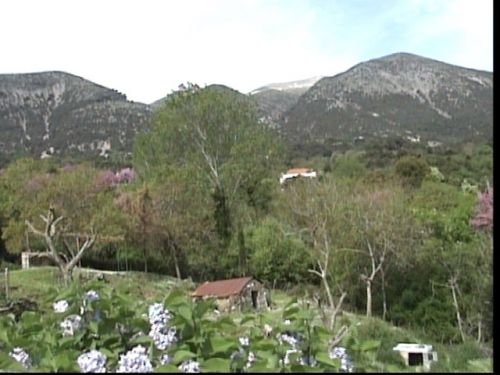 Το πάνω Ζωτικό