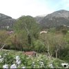 Το πάνω Ζωτικό