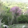 Το πάνω Ζωτικό