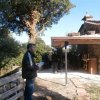 Ο Αϊ Δημητρης